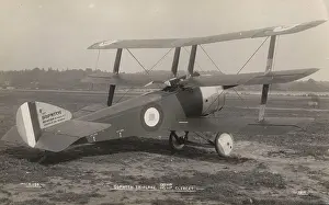 Triplane: Sopwith Triplane