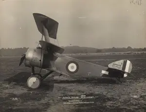 Triplane: Sopwith Triplane