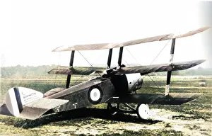 Triplanes: Sopwith Triplane single-seat fighter