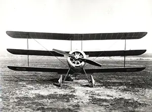 Triplane: Sopwith Triplane front view