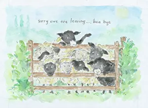 Sorry: Sorry ewe are leaving - baa bye - eight sheep behind a gate