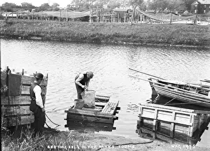 Toome: Sorting Eels in the Tanks, Toome