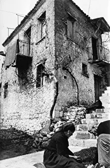 Delphi: Sorting olives in Arachova, near Delphi, Greece