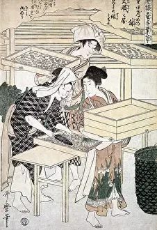 Cultivating: Sorting Silkworm Cocoons, Silk Making in Japan
