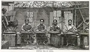 Chests: Sorting tea, China