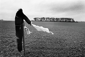 Scarecrow: Source of River Thames