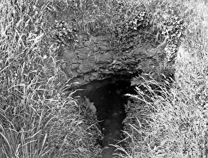 Becks: A Souterrain in Mr Beck's garden, Templepatrick