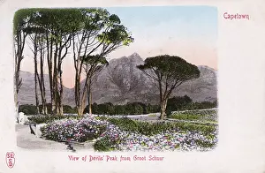 Groot: South Africa - Cape Town - View of Devil's Peak