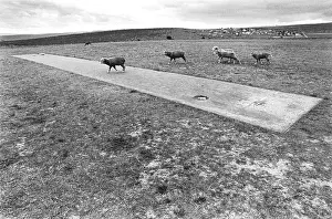 Pitches: South Africa, Kingwilliamstown, eastern cape - pitch