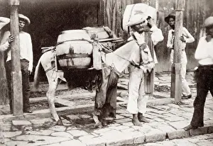 Handler: South America, pack horse with its load and handler