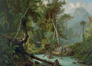 C1873: South American Forest. II