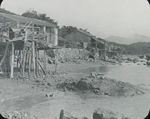 Foreshore: South China - Mai Wan Beach