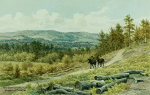Midhurst: South Downs from Midhurst Common, Sussex