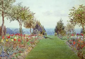 Sedgwick: The South Downs from Sedgwick Park