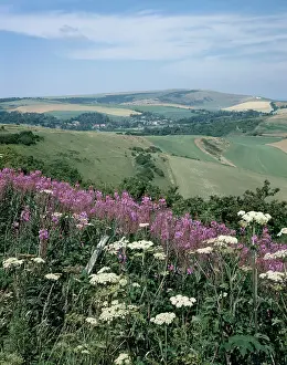 Alfriston: The South Downs ' Sussex