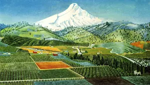Towering: South End of Hood River