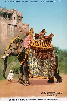 Dignitary: South Indian Elephant in full State garb