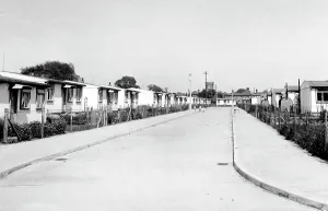 Celandine: South Ockendon, Celandine Road c1955