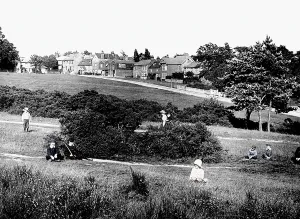 Southborough: Southborough, Common c1890