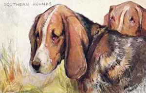 Ceased: Southern Hounds