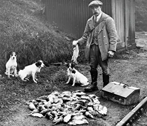 Rats: Southern Railway Ratcatcher
