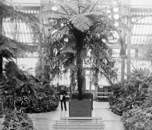 Southport: Southport Winter Gardens