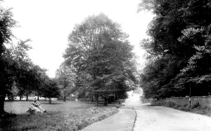 Southwell: Southwell, 1920