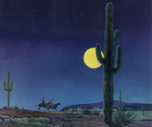 Ranchers: Southwestern Night