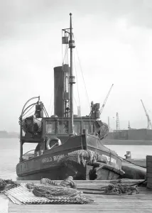 Southwick: Southwick, a Tug c1955