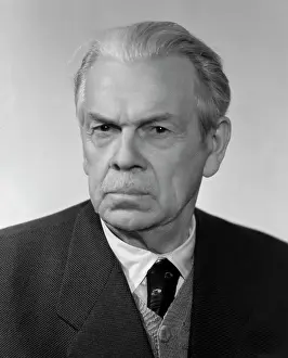 Kovrigin: Soviet artist A. Shovkunenko