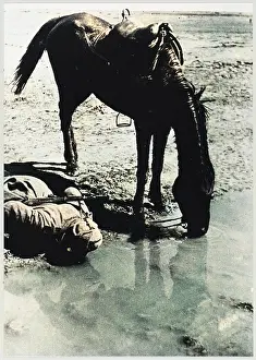 Cavalryman: SOVIET CAVALRYMAN