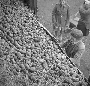 Tisou: Soviet commodities import to Czechoslovakia