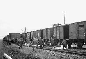Permission: Soviet grain delivery to Germany, 1939