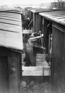 Transferred: Soviet grain delivery to Germany, 1939