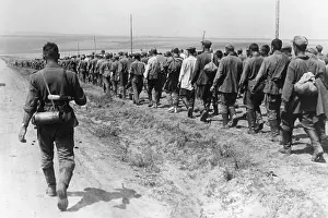 Crops: Soviet prisoners, August 1941