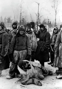 Blockade: Soviet prisoners of war at Lake Lodoga, 1943