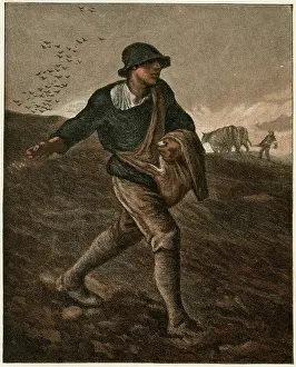Sower: The Sower 1885