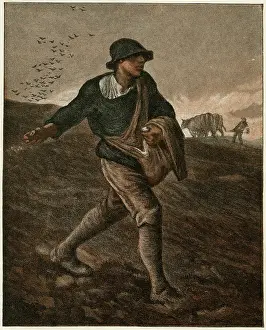 Sower: The Sower 1885