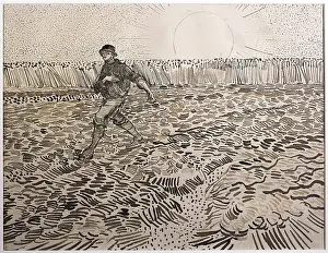 Sower: the sower on the field
