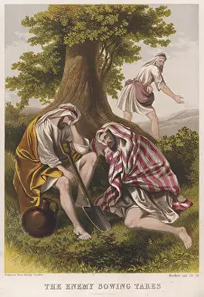 Neighbours: THE SOWER OF TARES