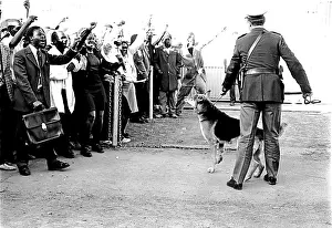 Continuing: The Soweto Uprising, 1976