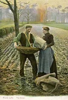 Scatters: Sowing