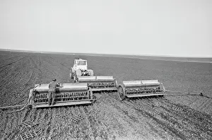 Sowing: Sowing of barley