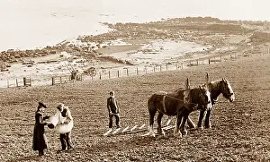 Arran: Sowing corn in the Isle of Arran