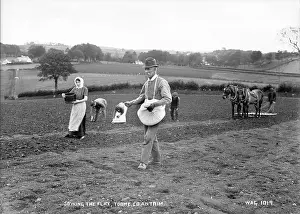 Toome: Sowing the Flax, Toome, Co. Antrim