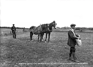 Sowing: Sowing Grass and Harrowing With a Chain Harrow