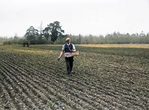 Thecolourisedpic: SOWING BY HAND