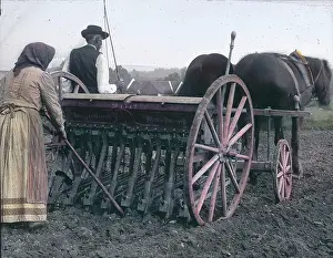 Croplands: Sowing machine is drilling