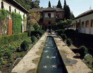 Parabolic: Spain, Andalusia, Granada. The Generalife