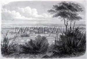 Aranjuez: SPAIN/ARANJUEZ IN 1862